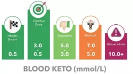 Digital-Keton-Meter-medizinisches Gerät der LCD-Anzeigen-elektronisches medizinischen Ausrüstung