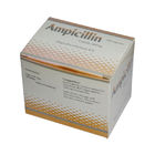 Synthetisches abgeleitetes Ampicillin kapselt 250 antibiotische mündlichmedikationen mg mg 500 ein