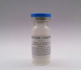 Haut-Struktur-trockene Pulver-Einspritzungs-Ampicillin Sulbactam-Dosierung für Einspritzung