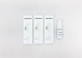 Leptospirose-Blut-Eignungstest-Ausrüstung
